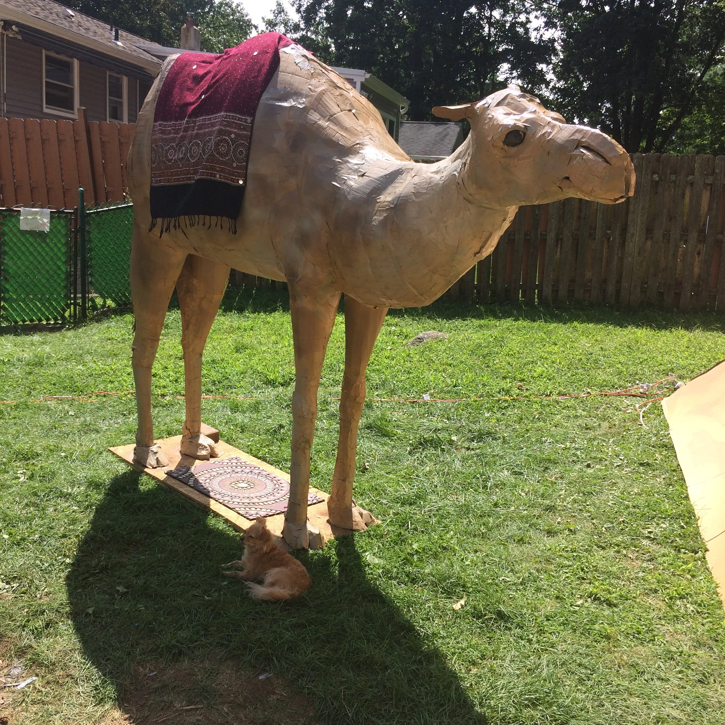  Cardboard Camel and Mabel, Egyptian Party 2017 