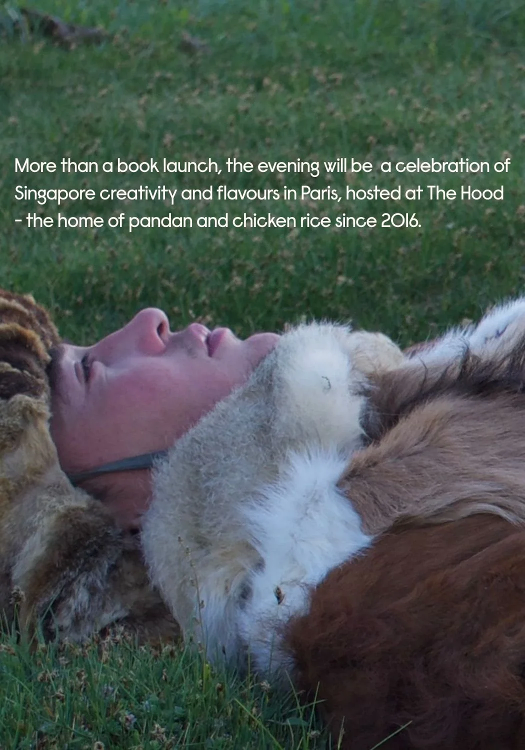 WhatsApp Image 2026-03-16 at 10.50.55 (2).jpeg