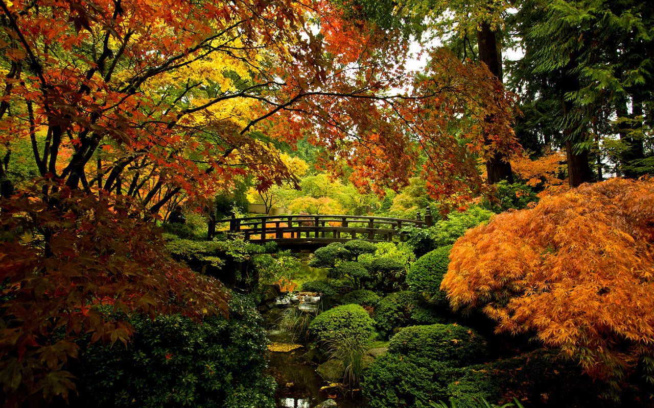 Portland Japanese Garden | Washington Park — PADA | Portland Art ...