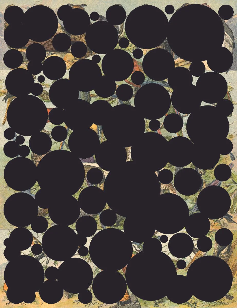 PDX_2025 A Logbook Throough Darkness_Savinar_BIRDS - PDX CONTEMPORARY ART.jpg