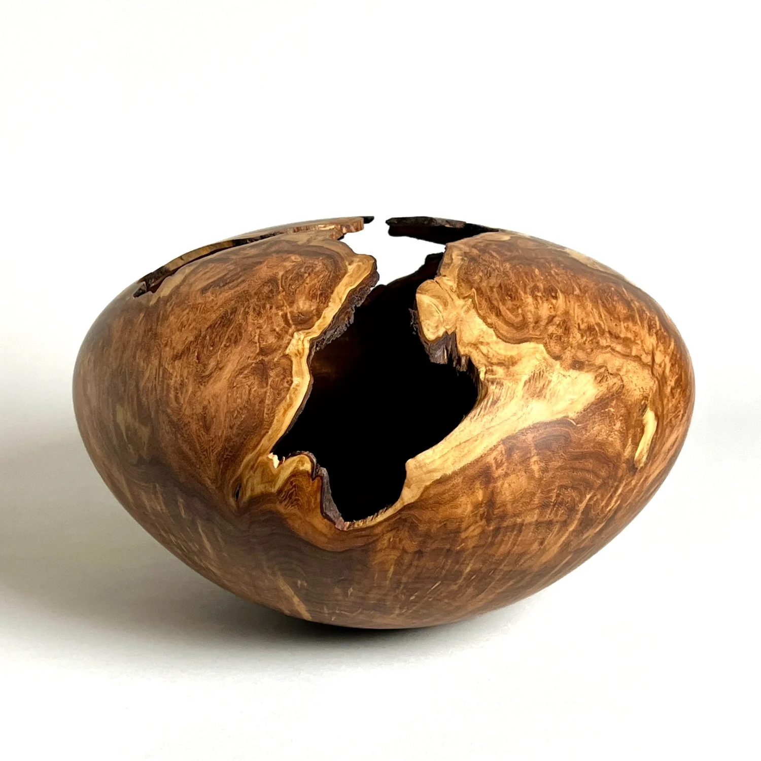 Waterstone1_KevinJeseque_Beneath the Bark - Sabina Haque.jpg