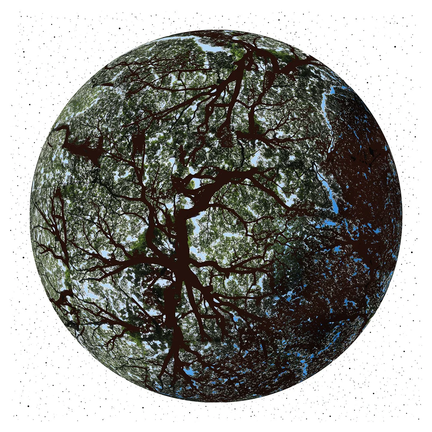 G114_BoundlessDuration_PhilHarris (4) - Barbara Weiss.jpg