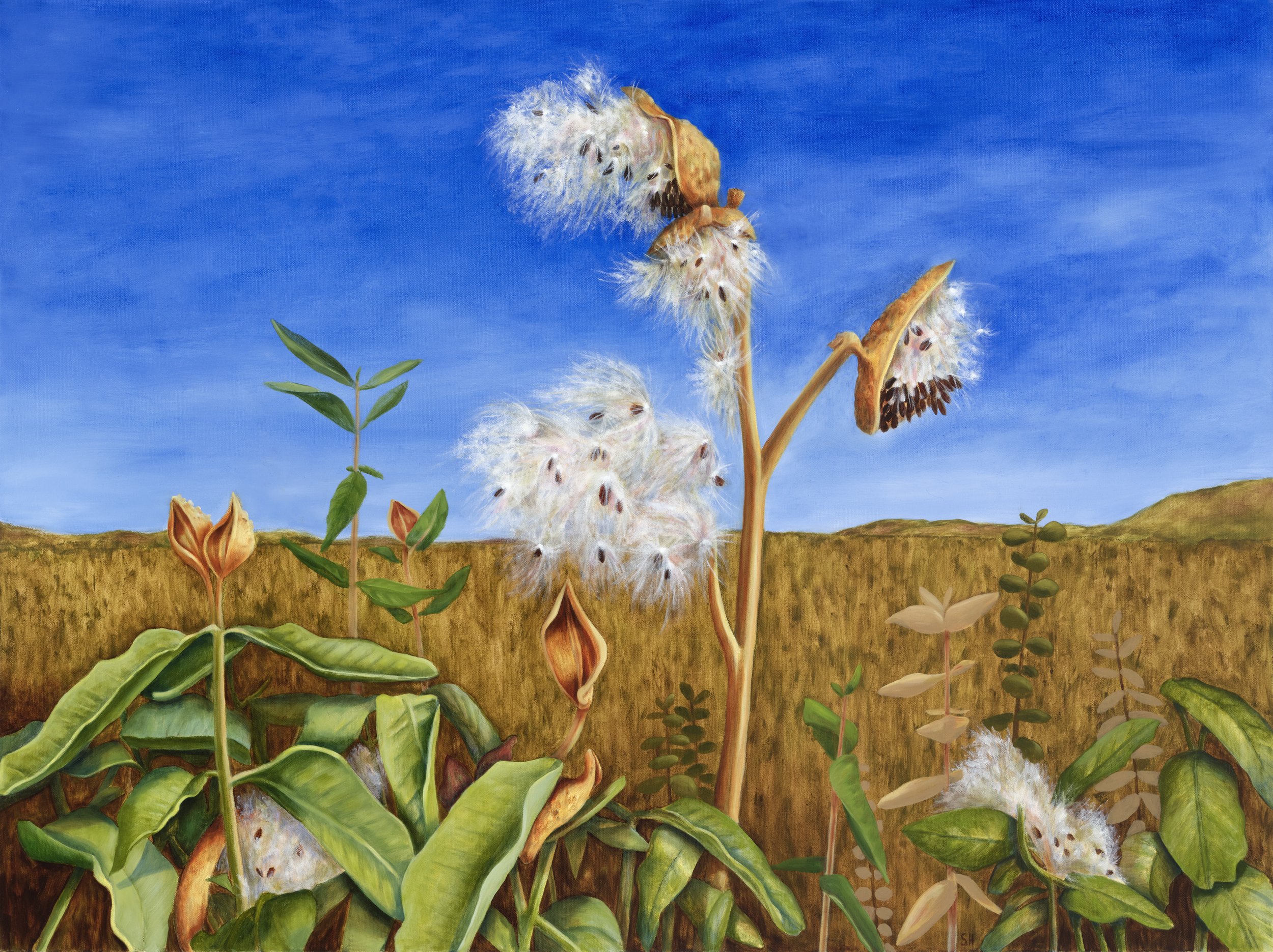 Waterstone2_Resilience Is Our Nature_Susan Harrington - Sabina Haque.jpg