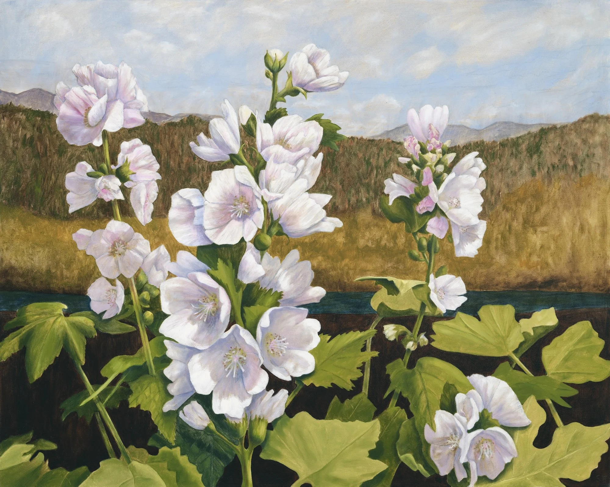 Waterstone3_Resilience Is Our Nature_Susan Harrington - Sabina Haque.jpg