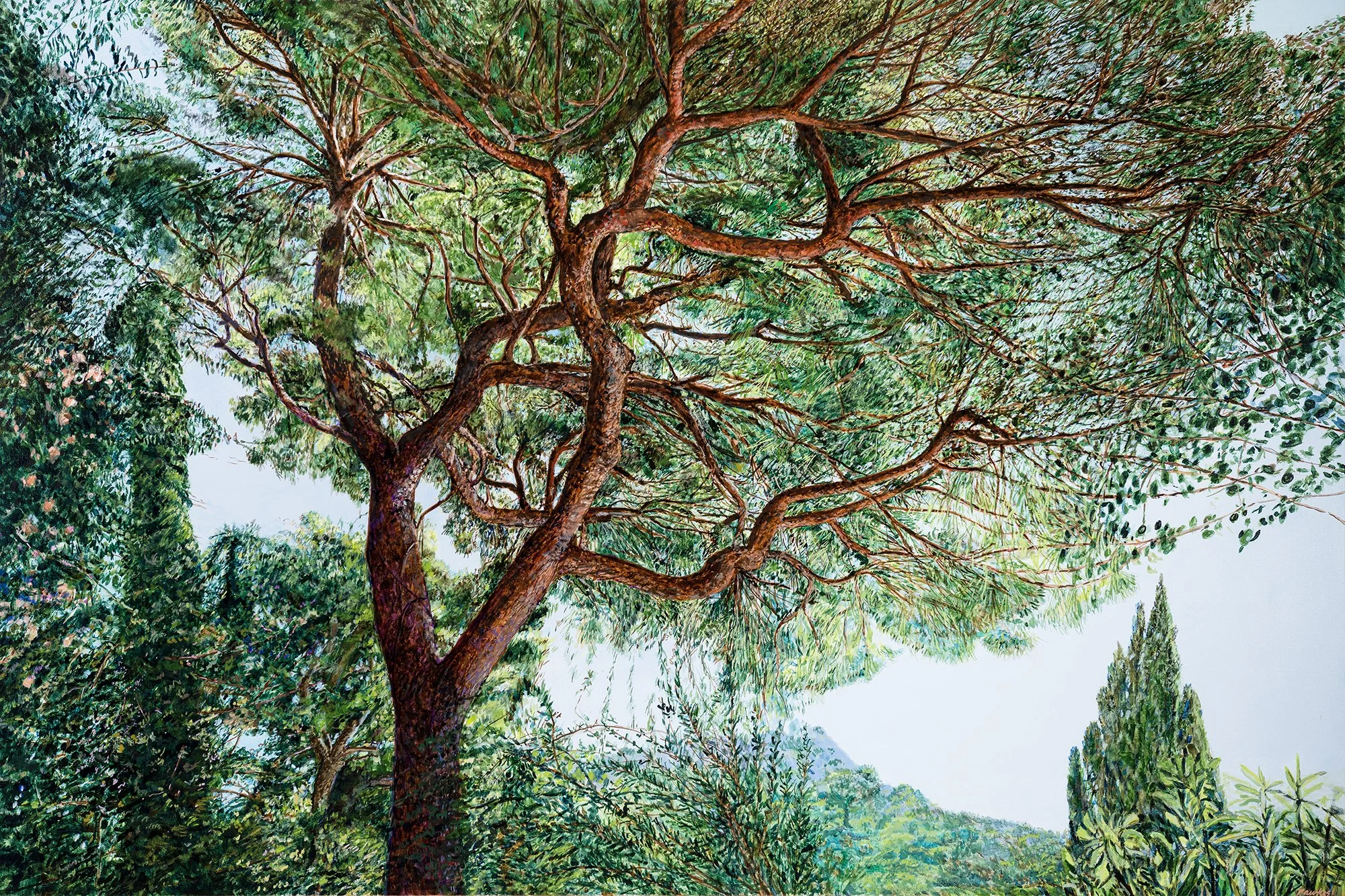 RLG1__NewWorks_TomFawkes - Emi Ogata Demaderios.jpg