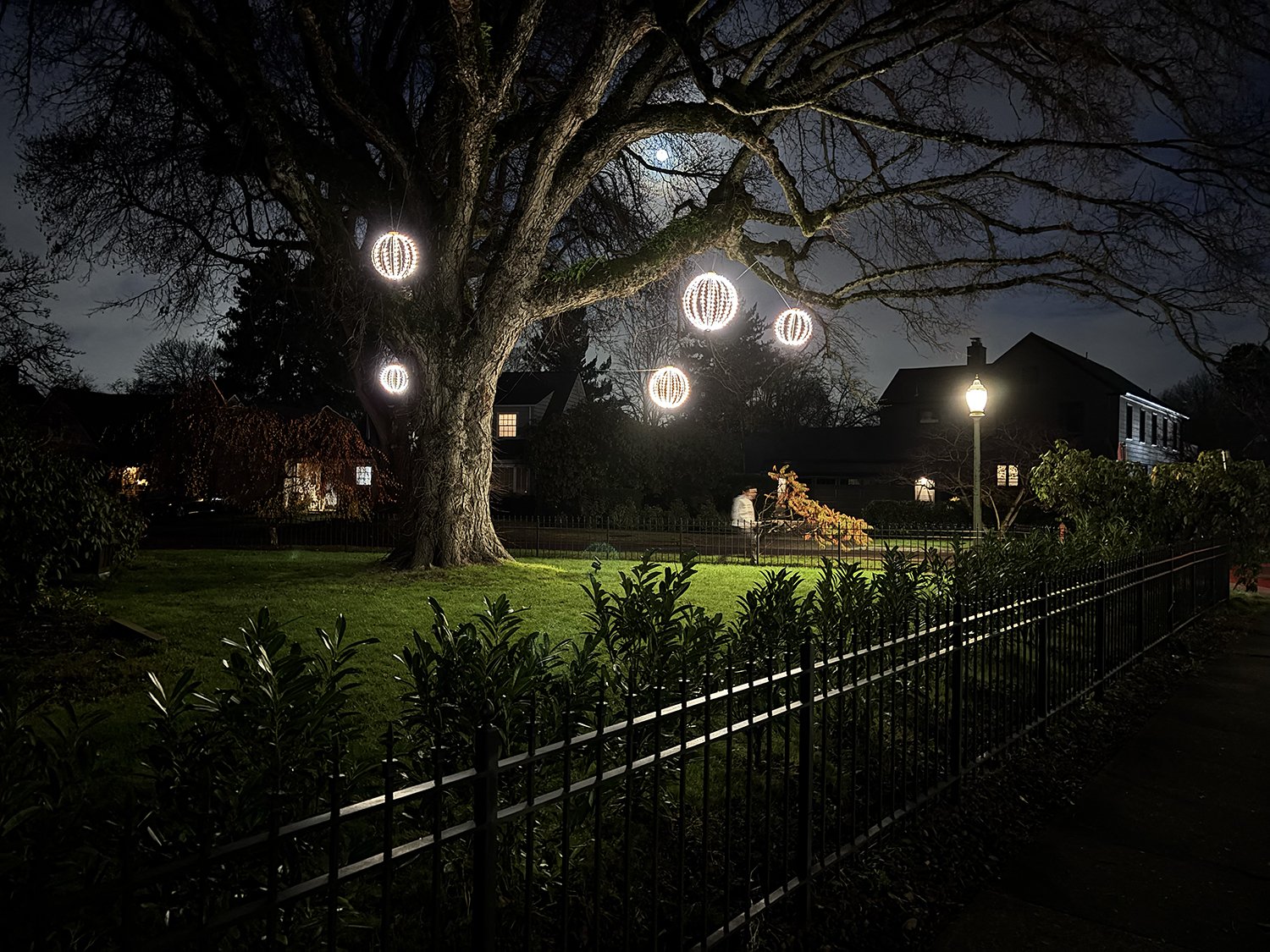 G114_AutumnFullMoon_JonGottshall - Barbara Weiss.jpg