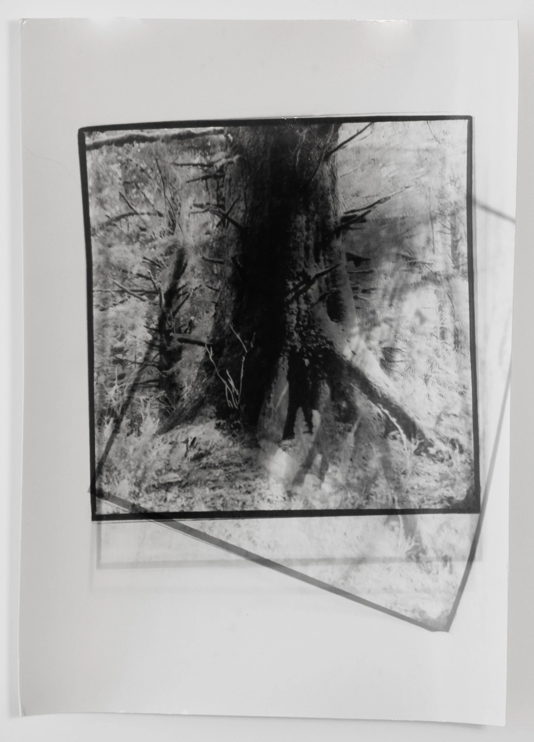 PDX_Soñé Que Revelabas_Georgina Reskala-3 - PDX CONTEMPORARY ART.jpg