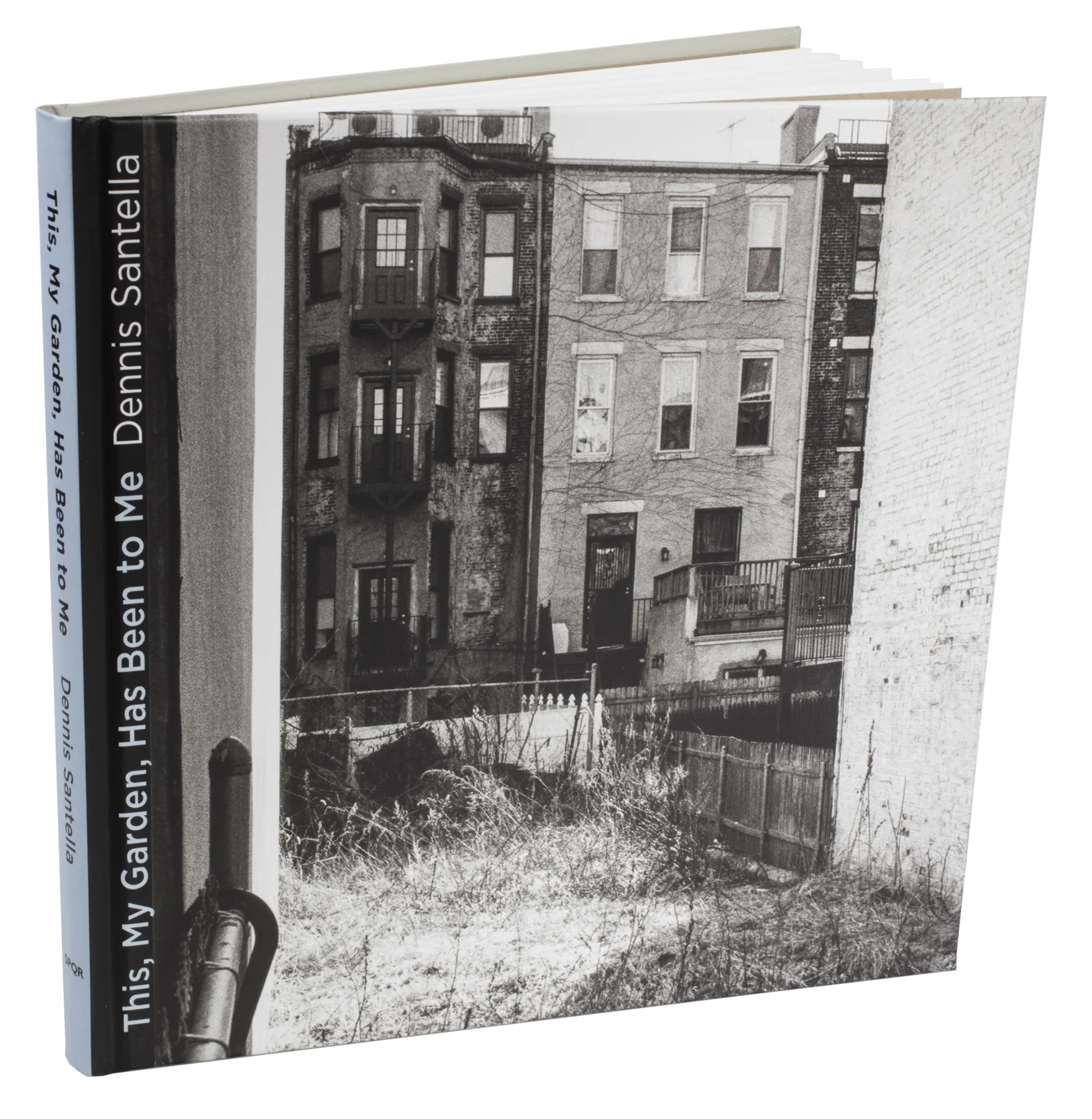 This, My Garden, Has Been to Me by Dennis Santella