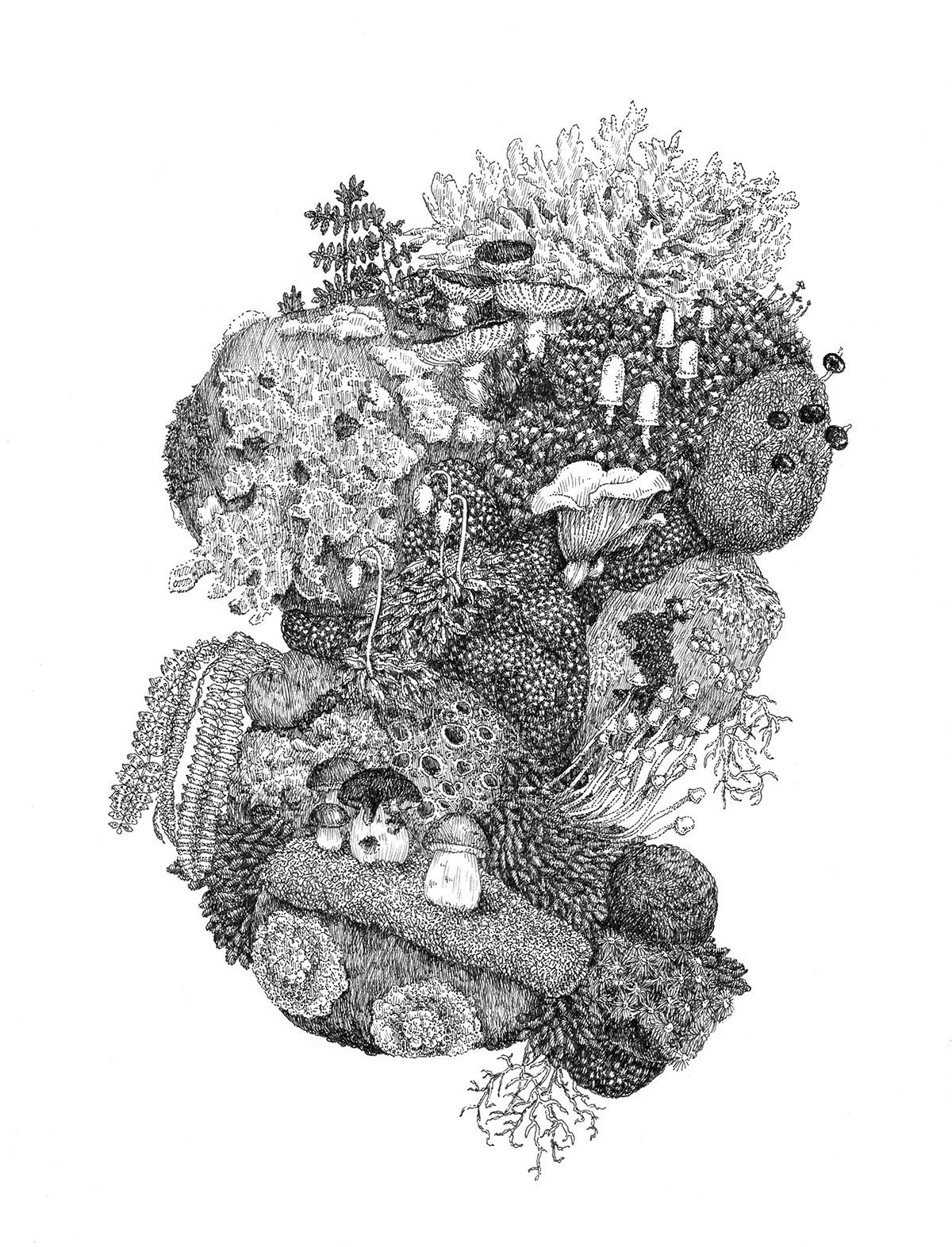 Lichen Island No. 2