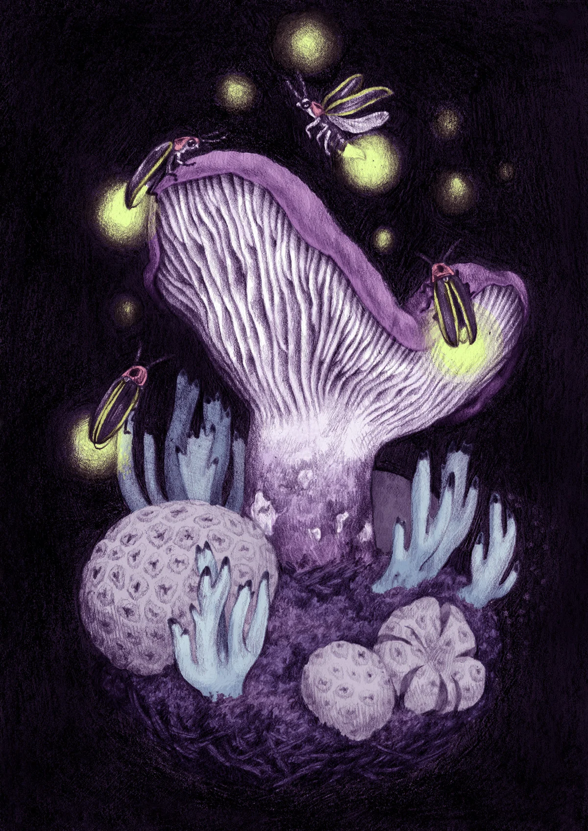 Mushroom Postcard No. 2
