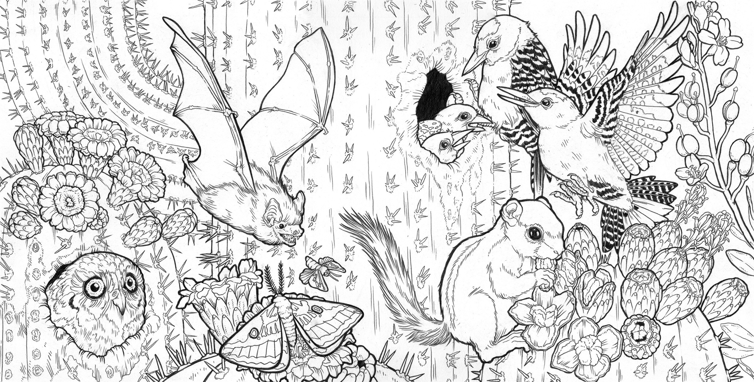 Color the Natural World Illustration