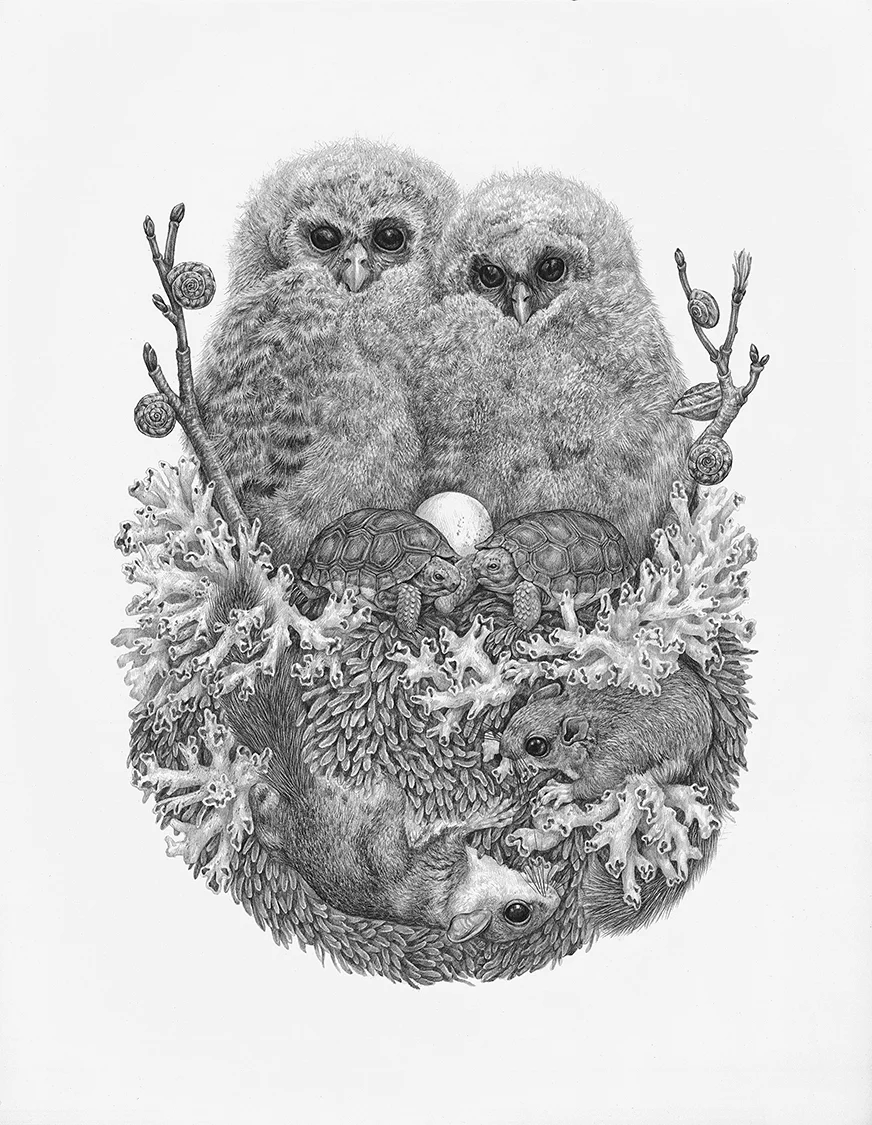 Lichens