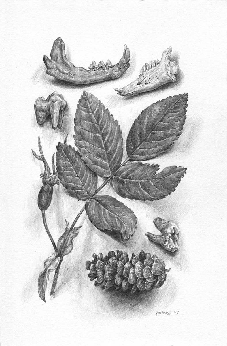 Study I