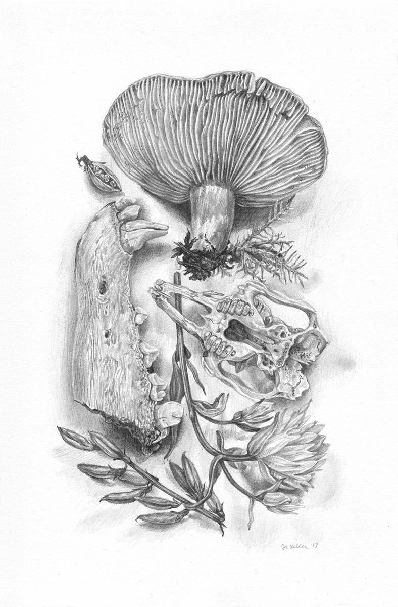 Study III
