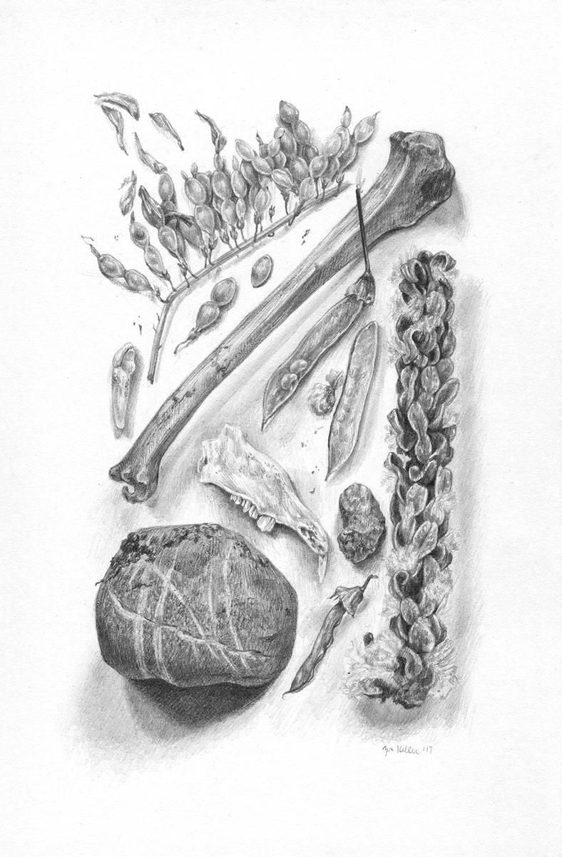Study IV