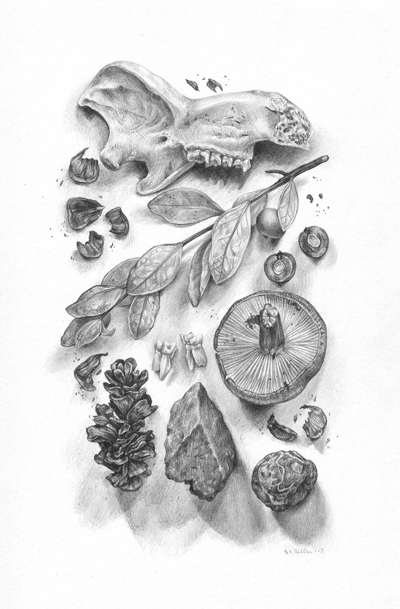 Study V