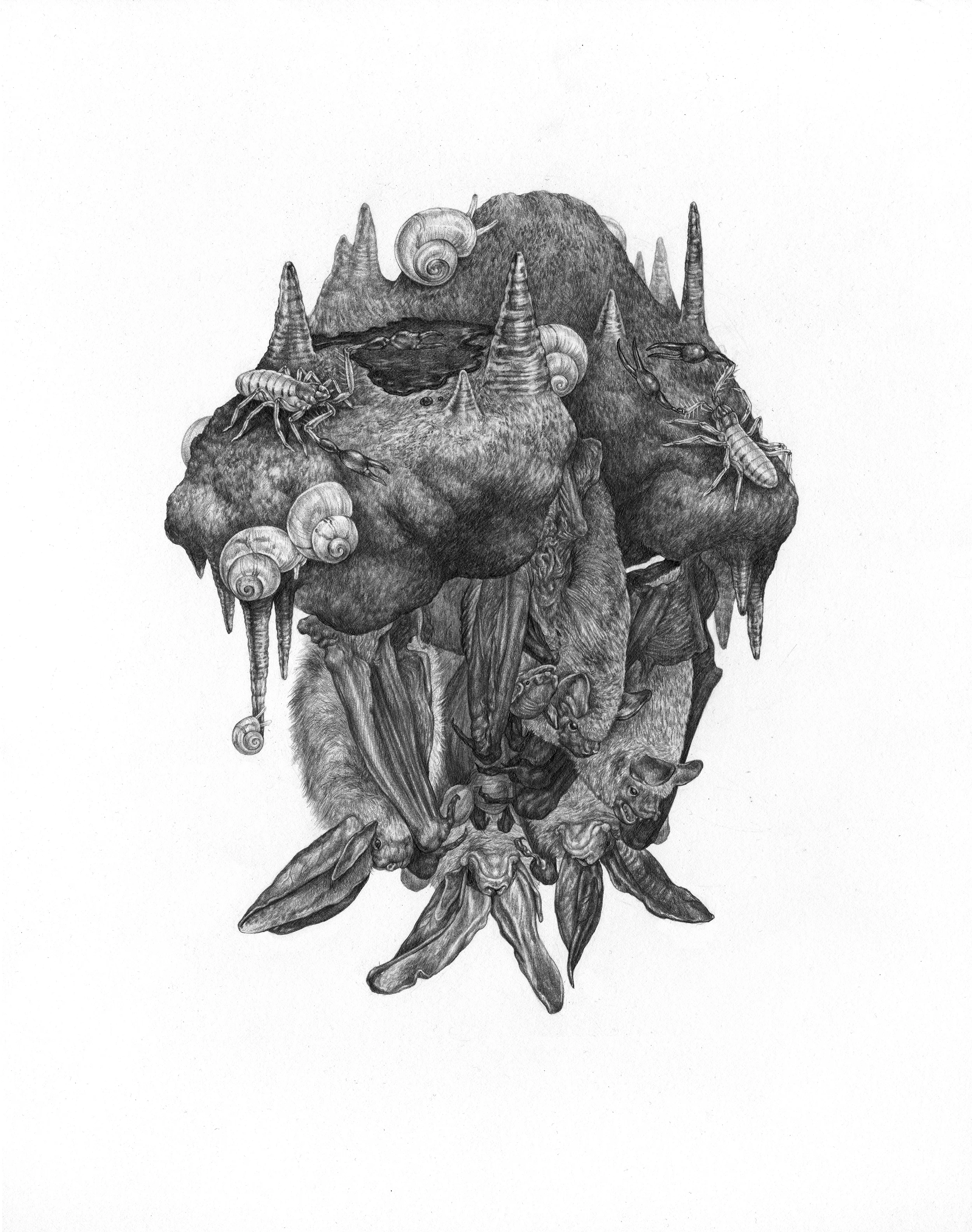 Karst , Graphite on Paper, 2016, 11" x 14" Click here to purchase through Antler Gallery
