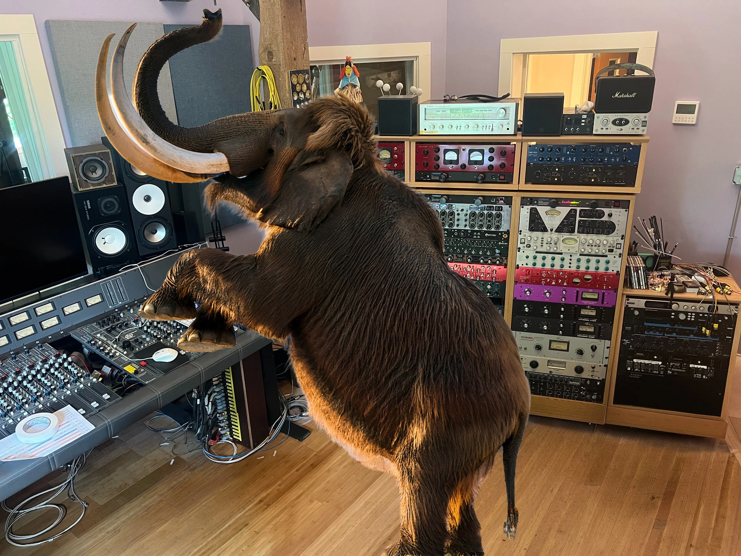 Woolly Mammoth Sound