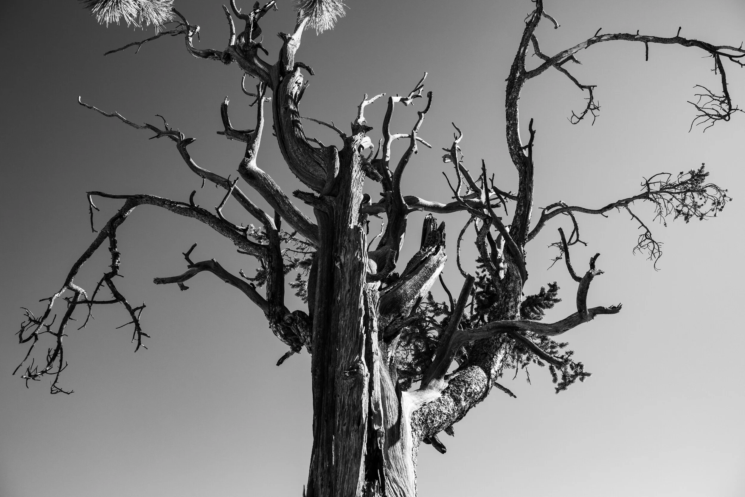 untitled-48.JPG