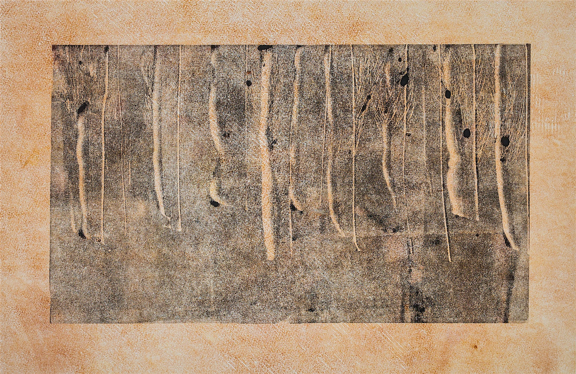 Revealed Entities 22' x 30'
