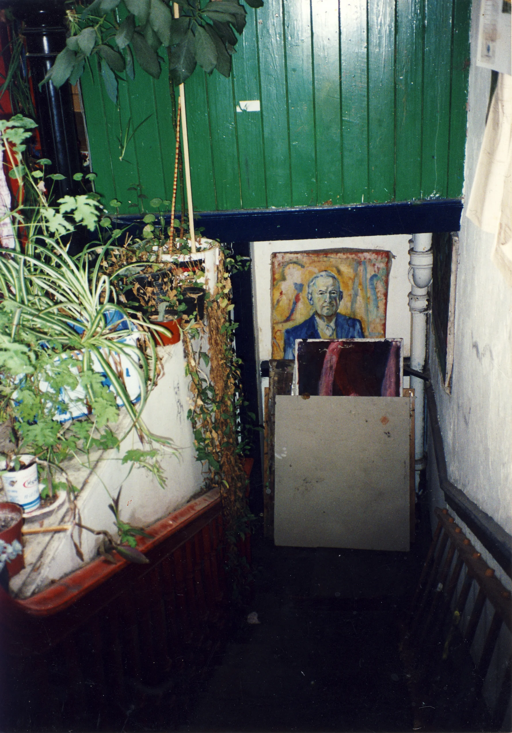 pats plants dymphas paintings.jpg