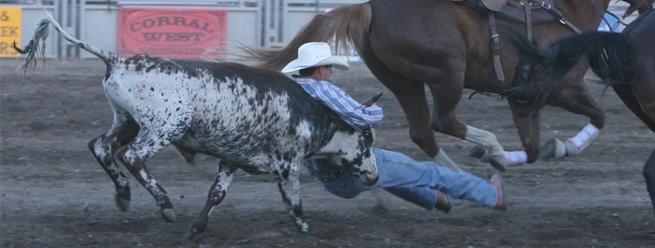RodeoSlider.jpg