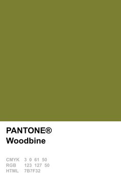 429fb74e1b0cdd15decaf60f9be8e5a2--pantone-olive-pantone-.jpg