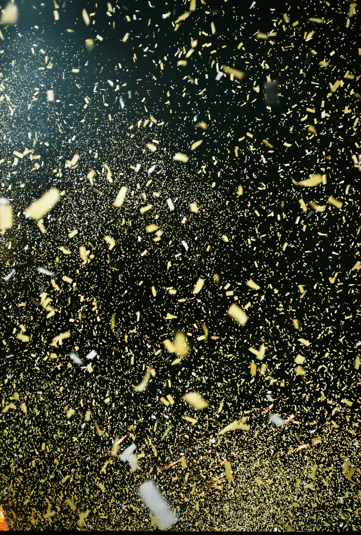 24558468349_ae62169dde_o.jpg
