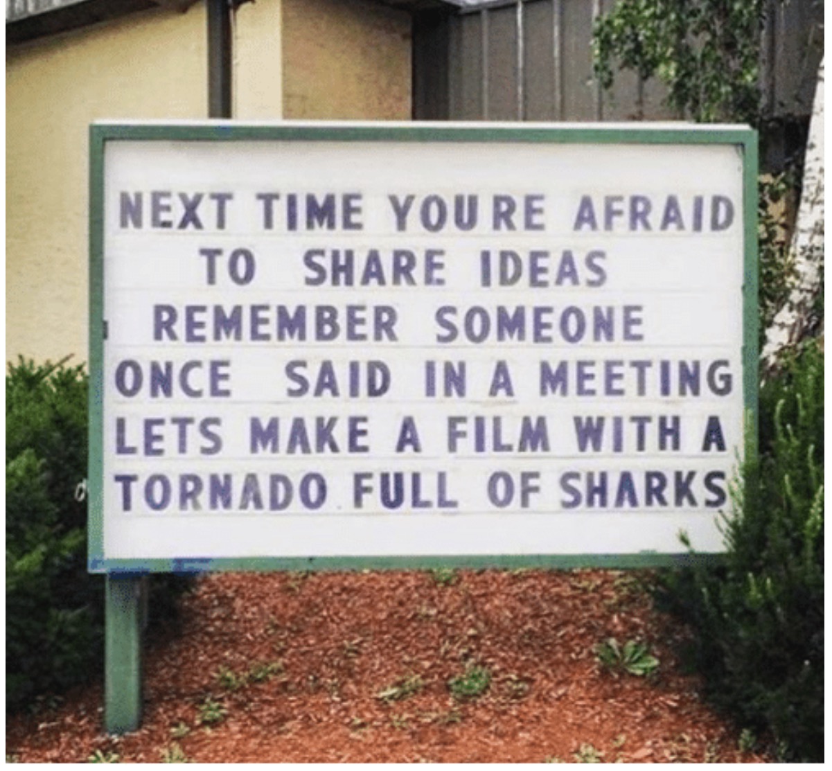 "Next time you're afraid to share ideas, remember someone once said in a meeting, let's make a film with a tornado full of sharks." -viral meme found on Reddit, original source unknown