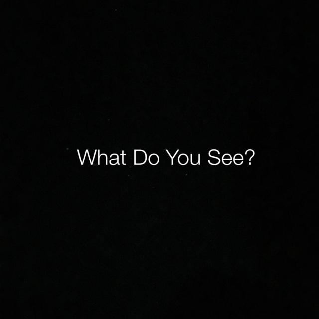 What Do You See?