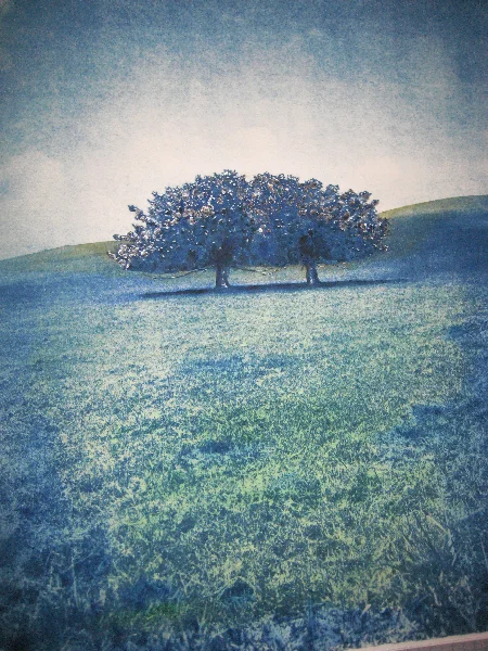 Mortice sized down.jpg