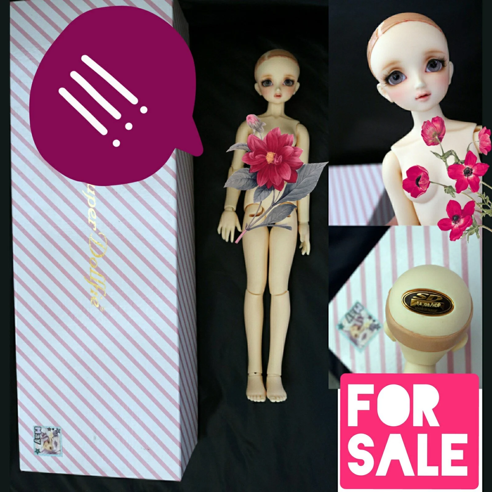 bjds for sale