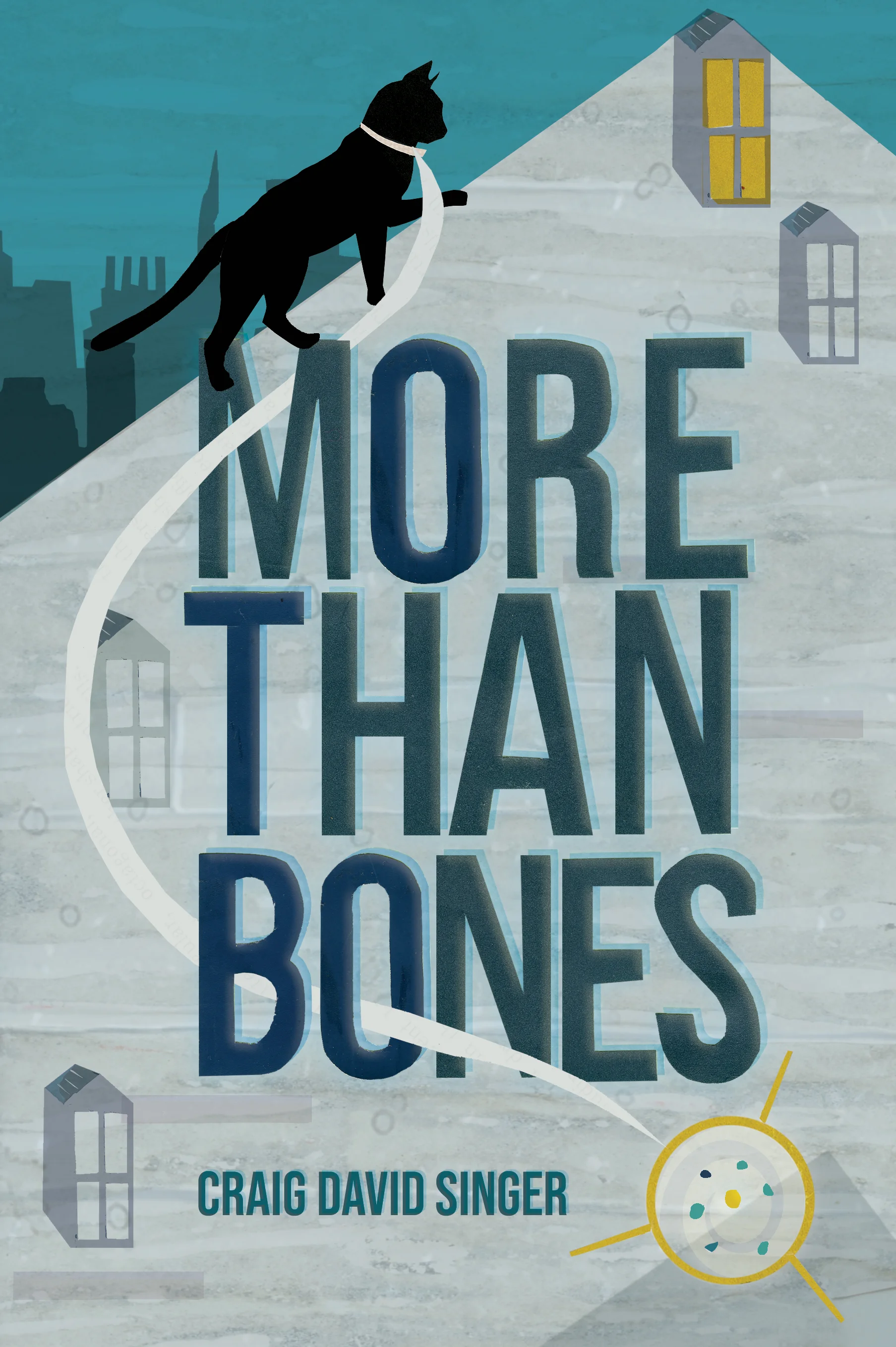 More Than Bones Book Cover