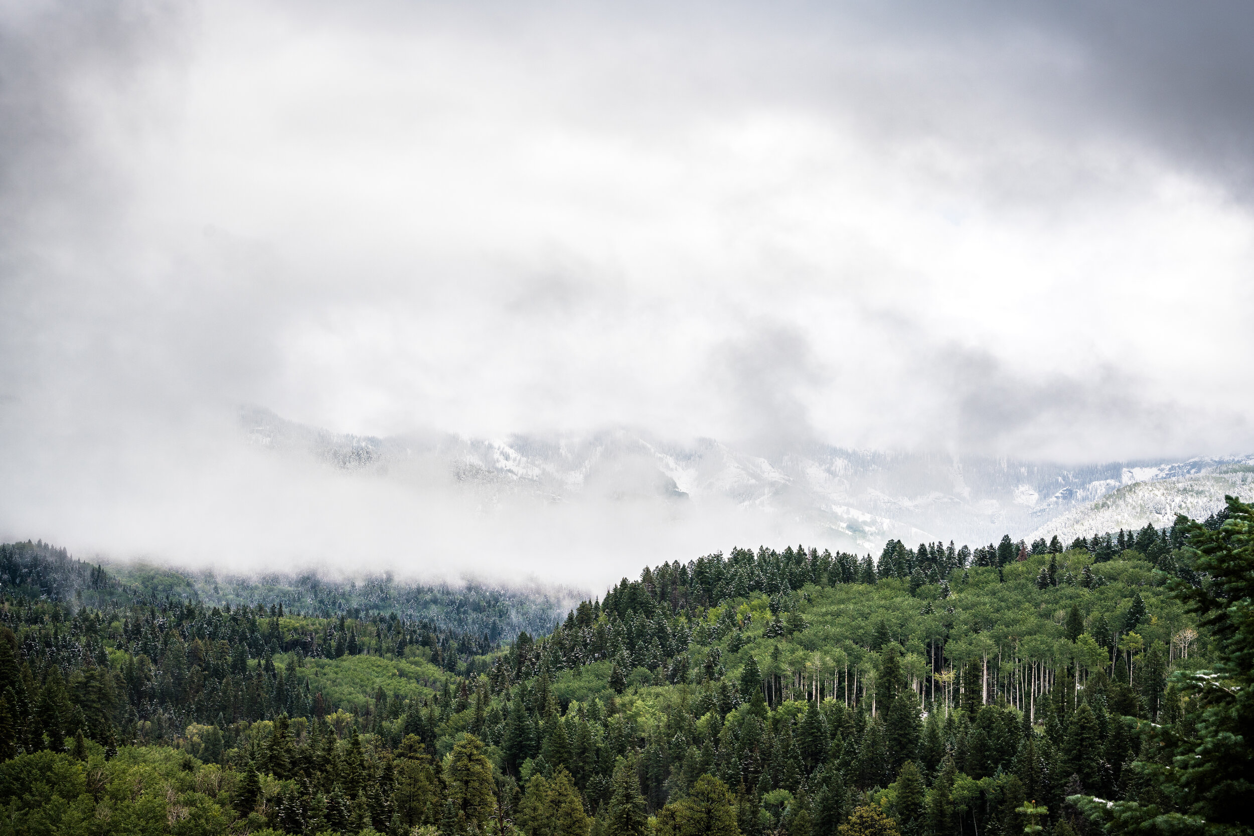 CHPhoto-44.jpg