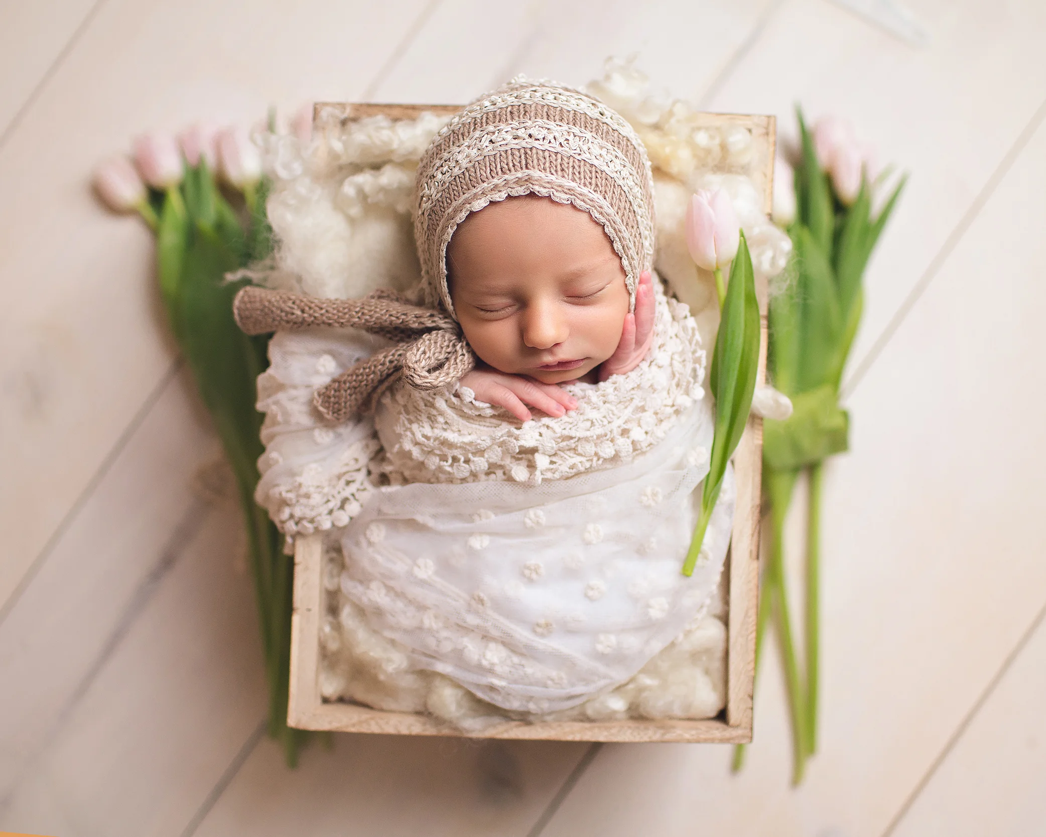 Geneva, IL newborn photographer