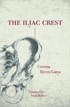 Feminist_CatalogCoverArt_Iliac+Crest.jpg