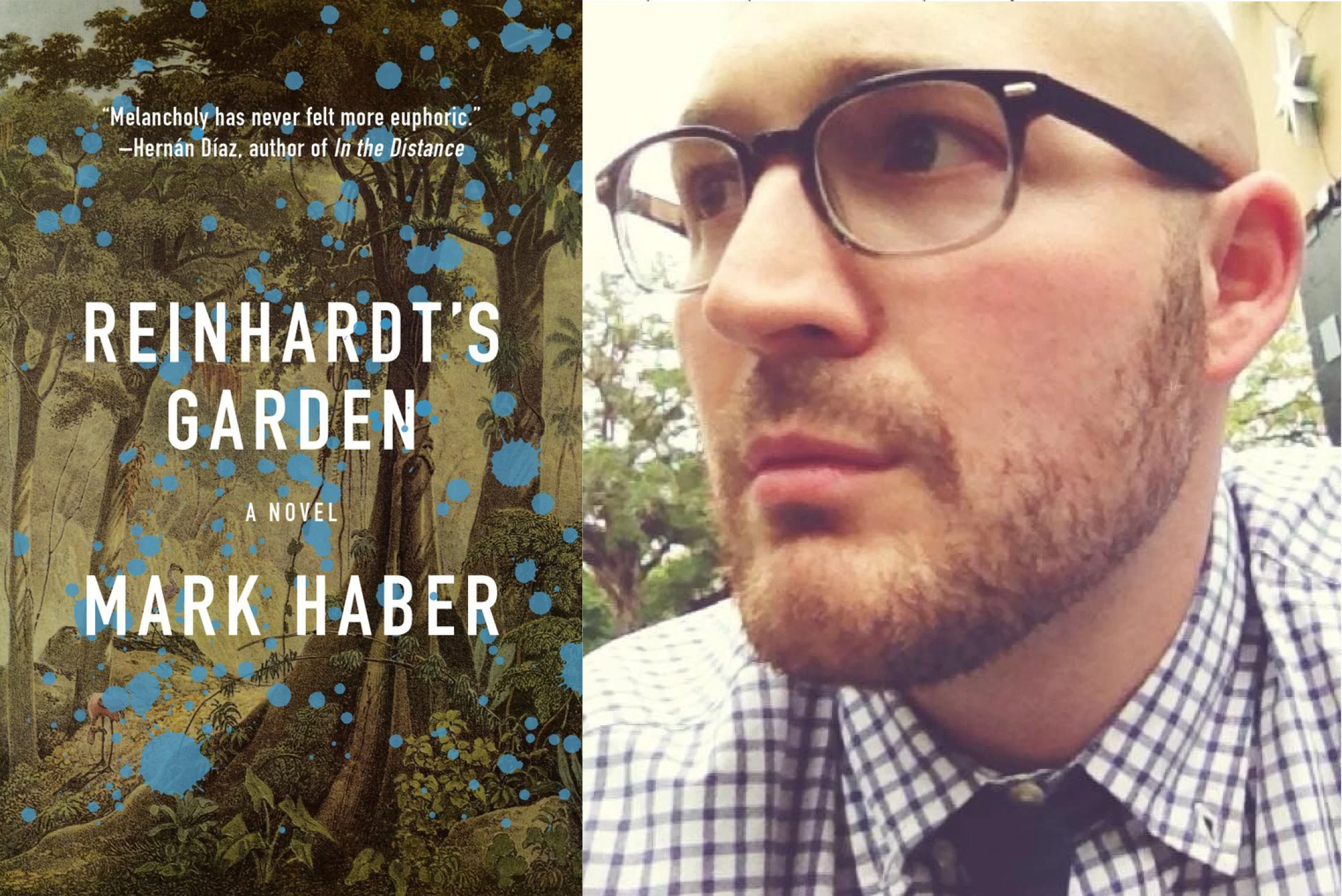 Image_spreads_haber.jpg