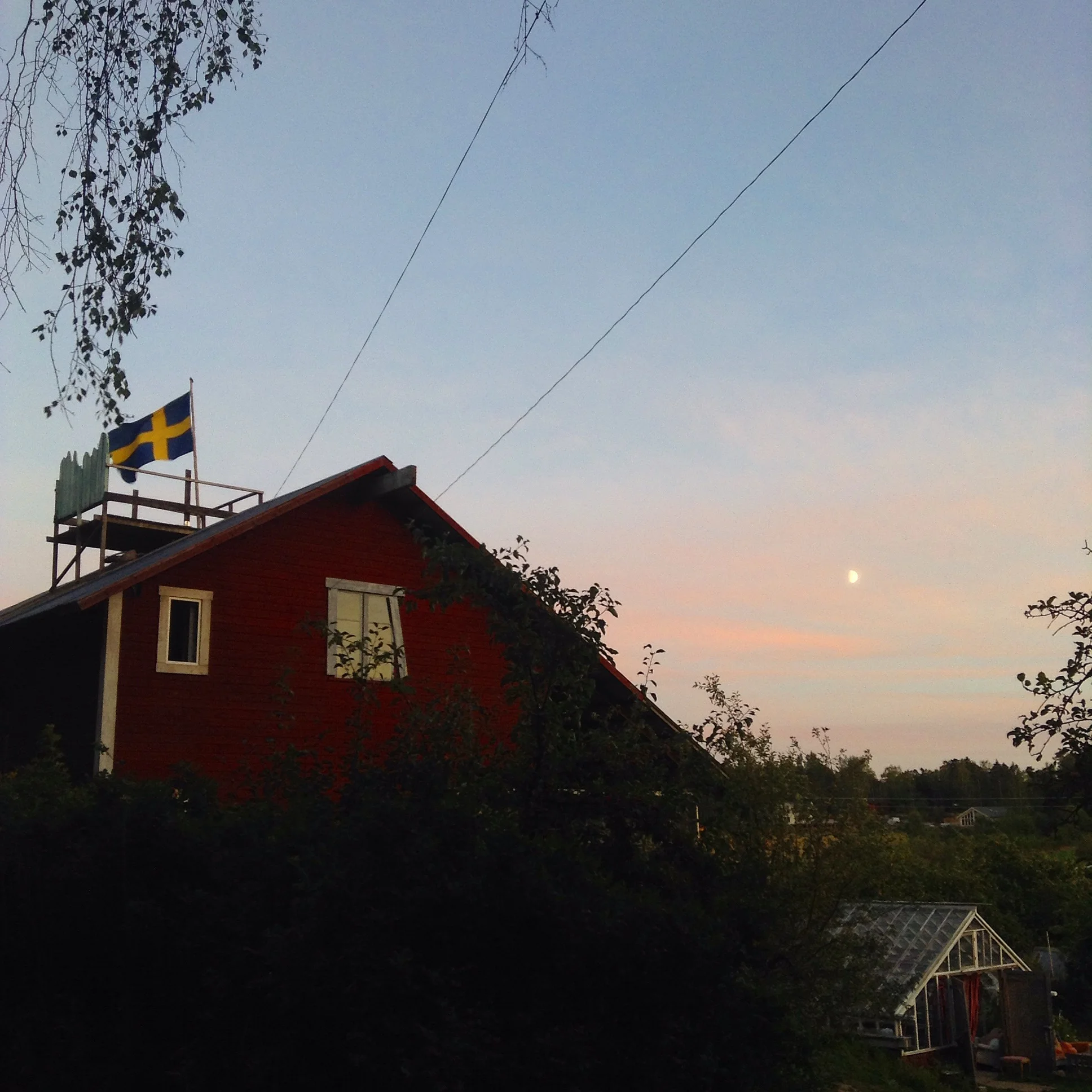 IMG_4864.JPG