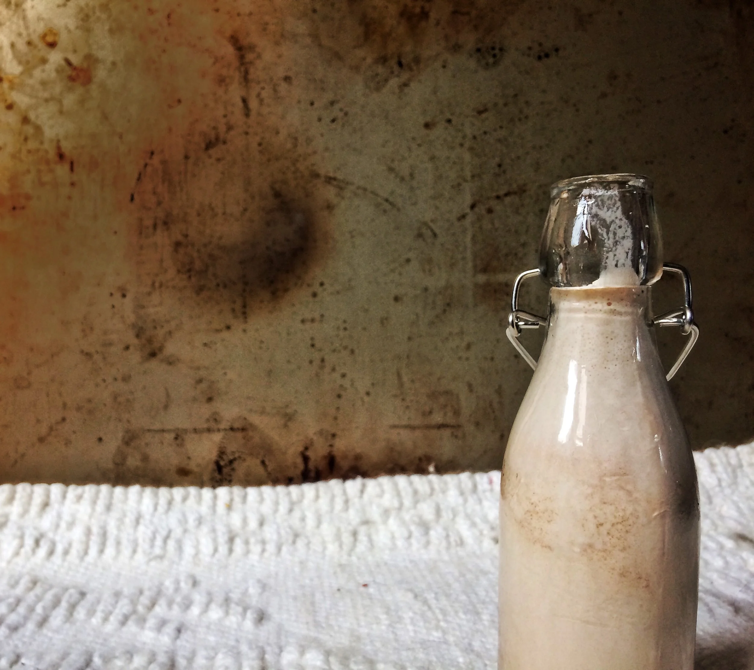 Irish Cream & Reishi Mushroom Coffee Cordial