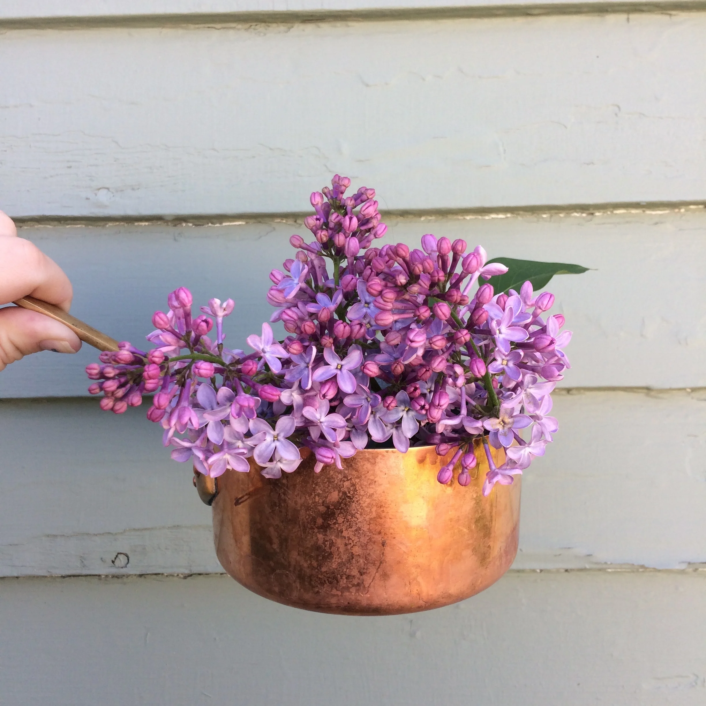 Lilac Syrup