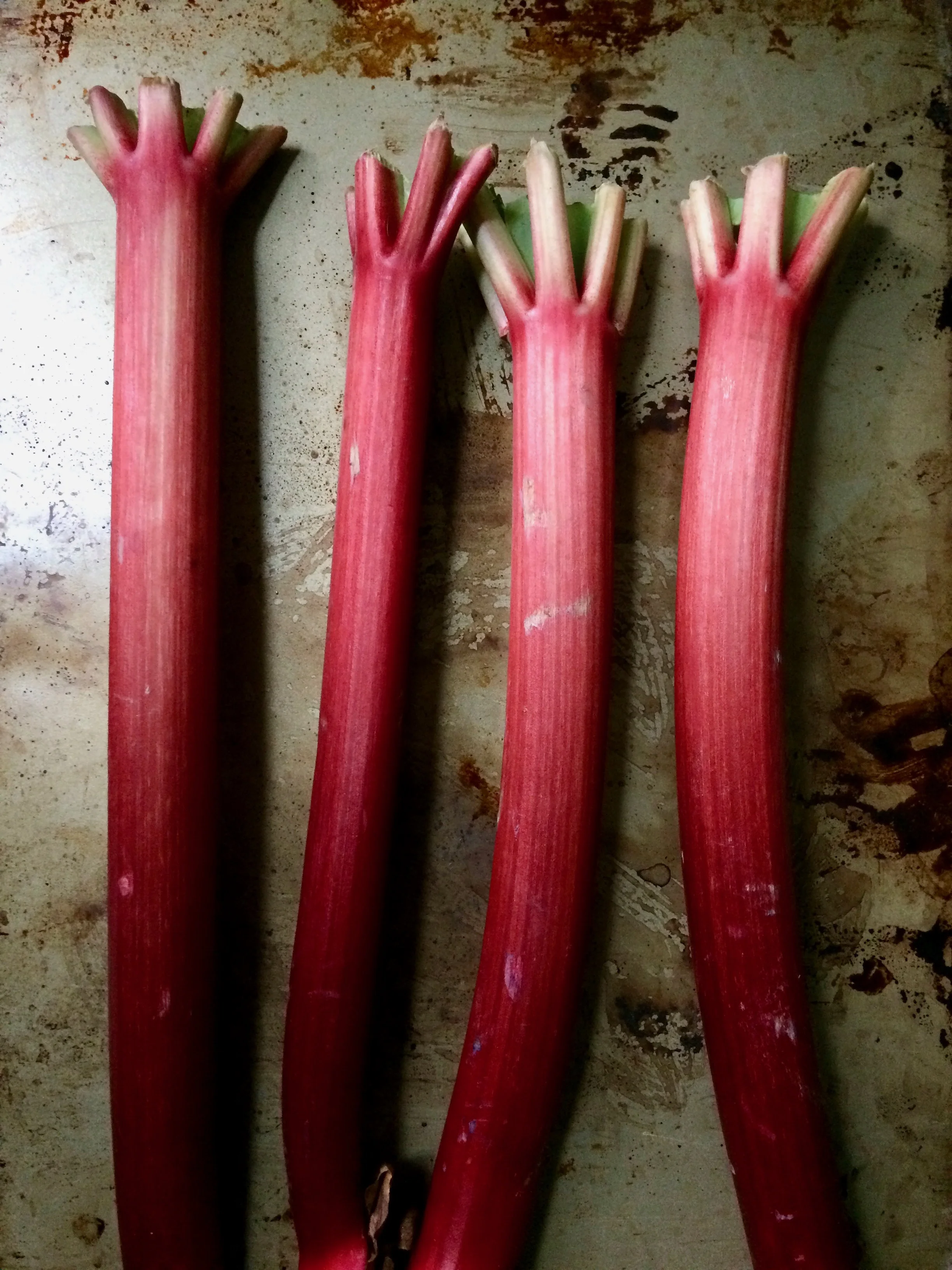RHUBARB & STRAWBERRY SUMMER SOUP