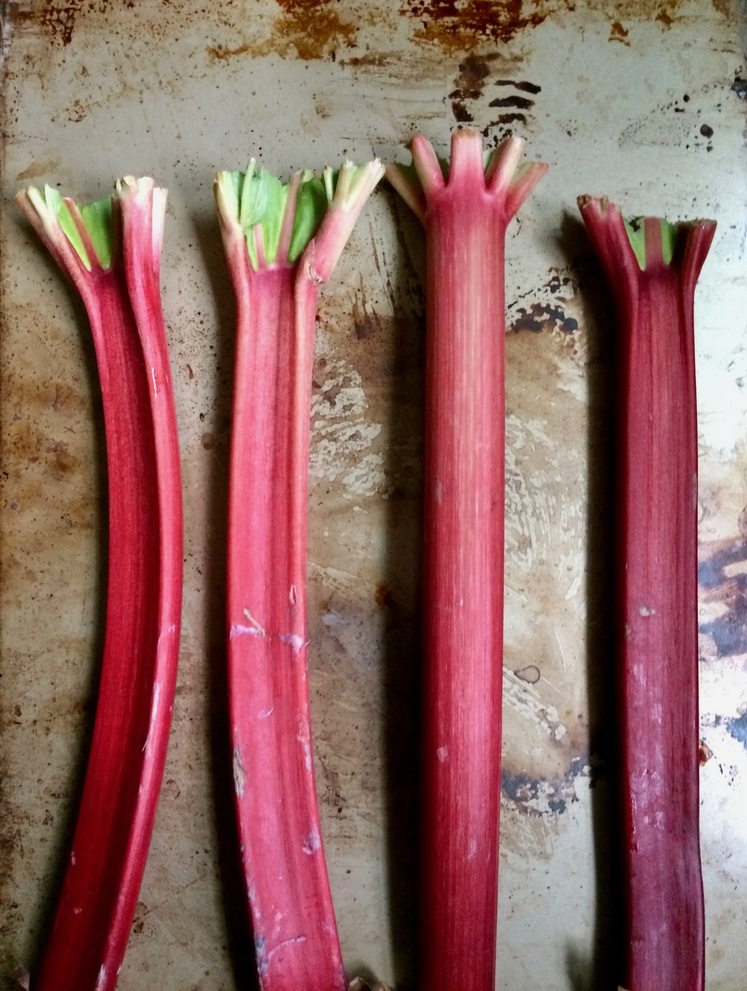 RHUBARB & STRAWBERRY SUMMER SOUP