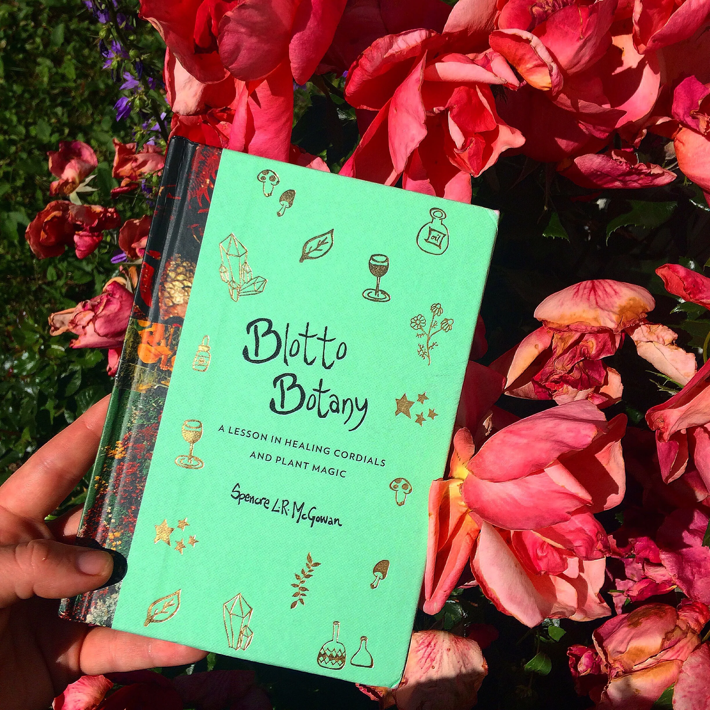 Blotto Botany by Spencre L.R. McGowan