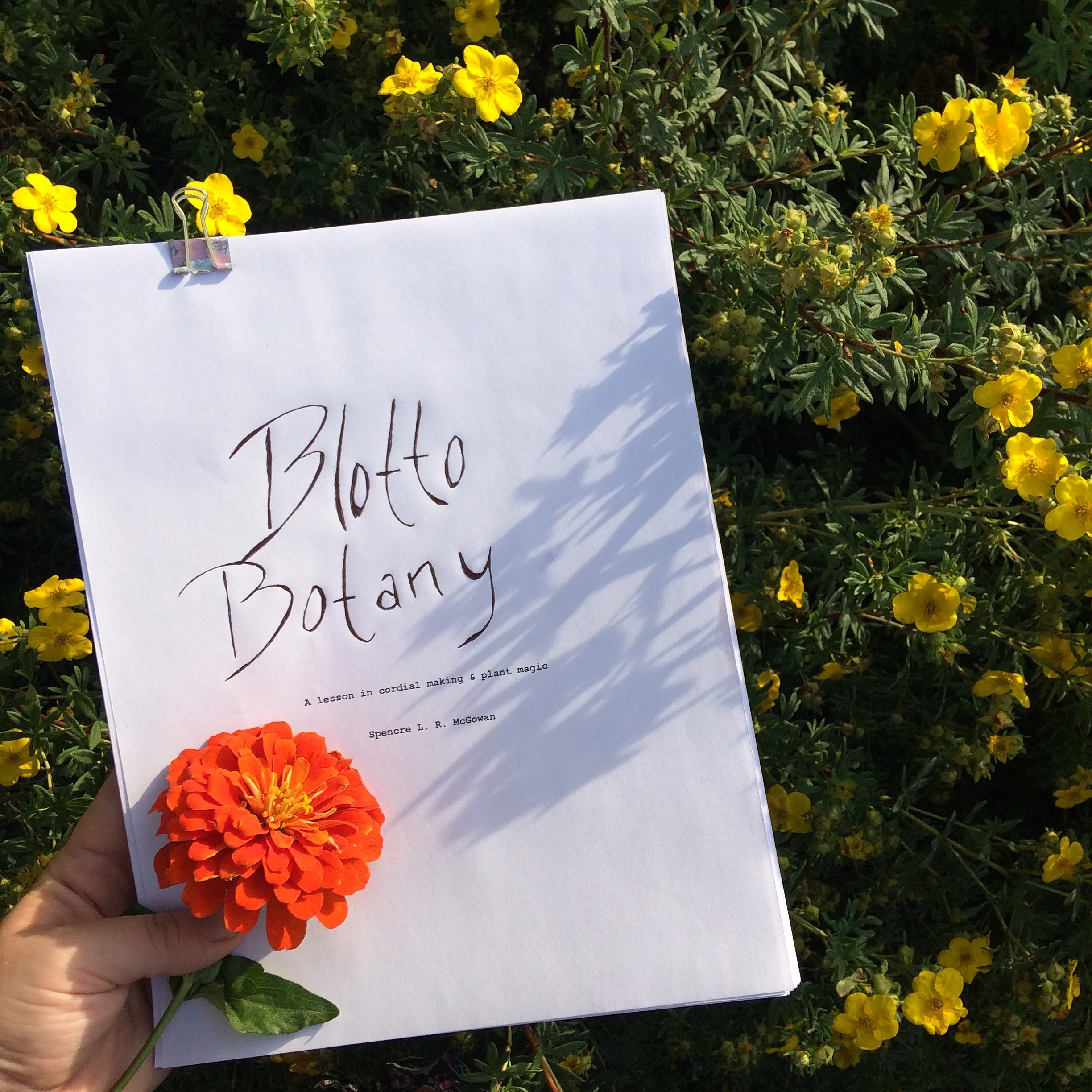Blotto Botany by Spencre L.R. McGowan