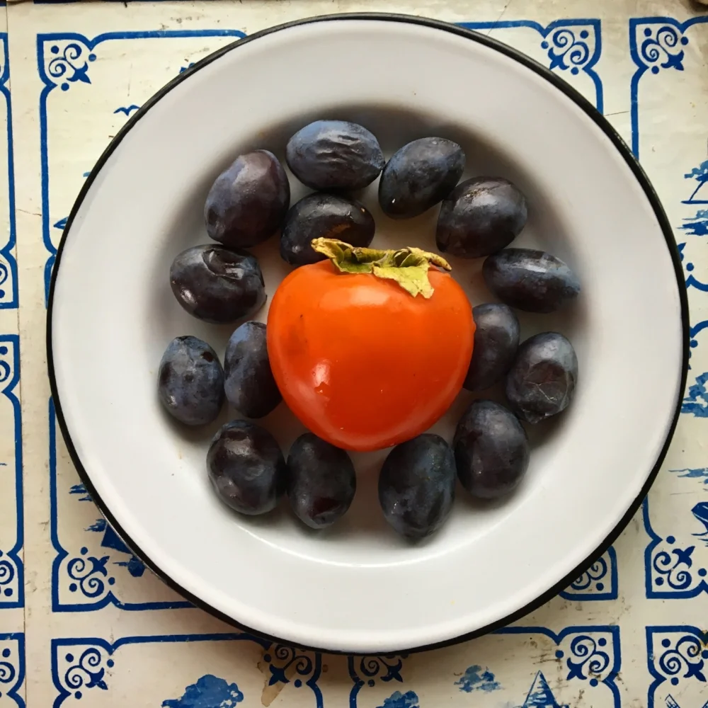 Persimmon Plum Pie