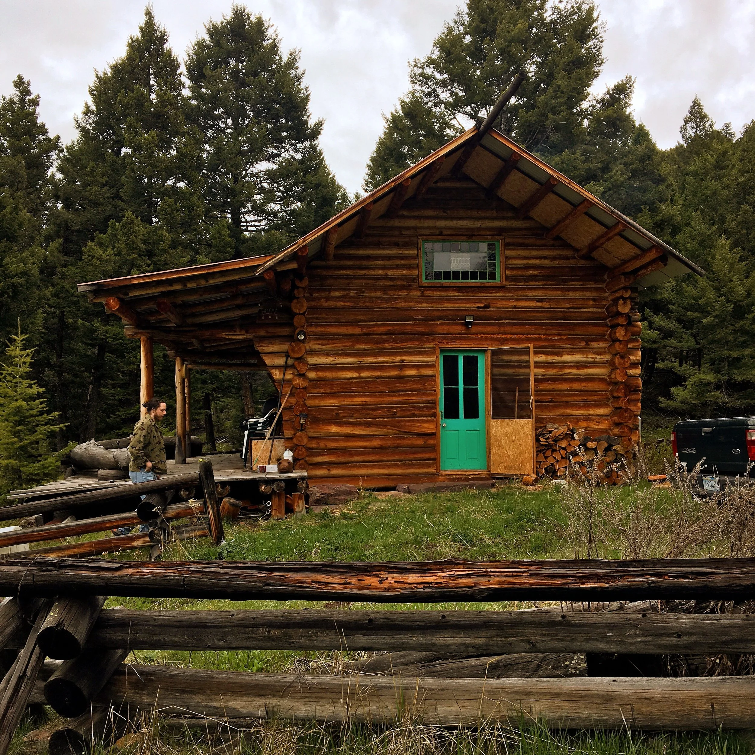 Nettle and Pine Needle Tea