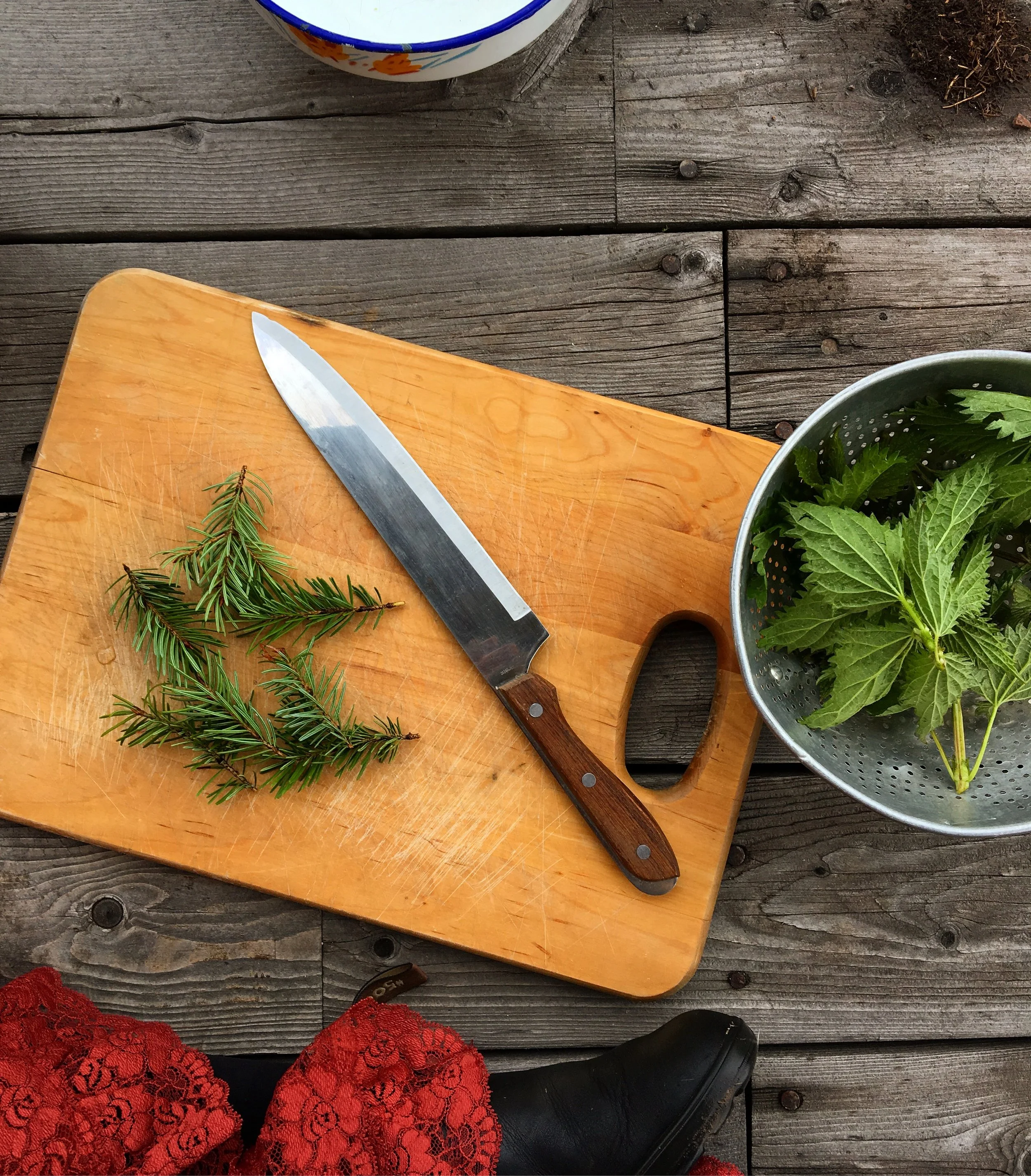 Nettle and Pine Needle Tea