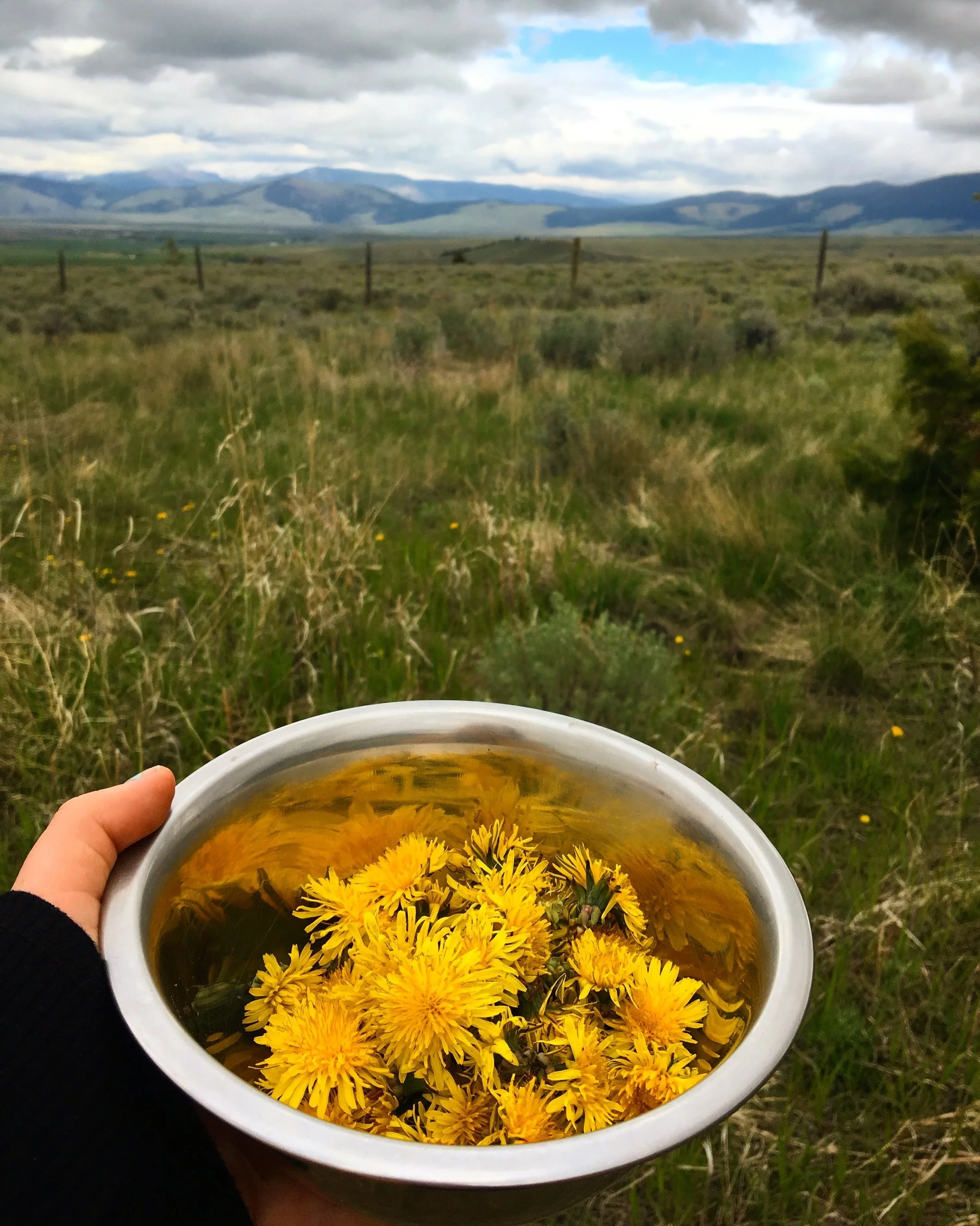 Dandelion and Honey Glazed Gluten Free Donuts