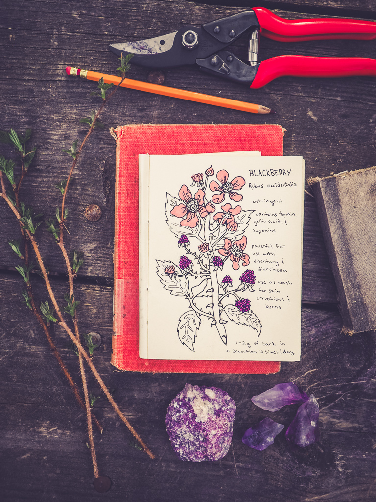 What's in my bag with Val Elkhorn