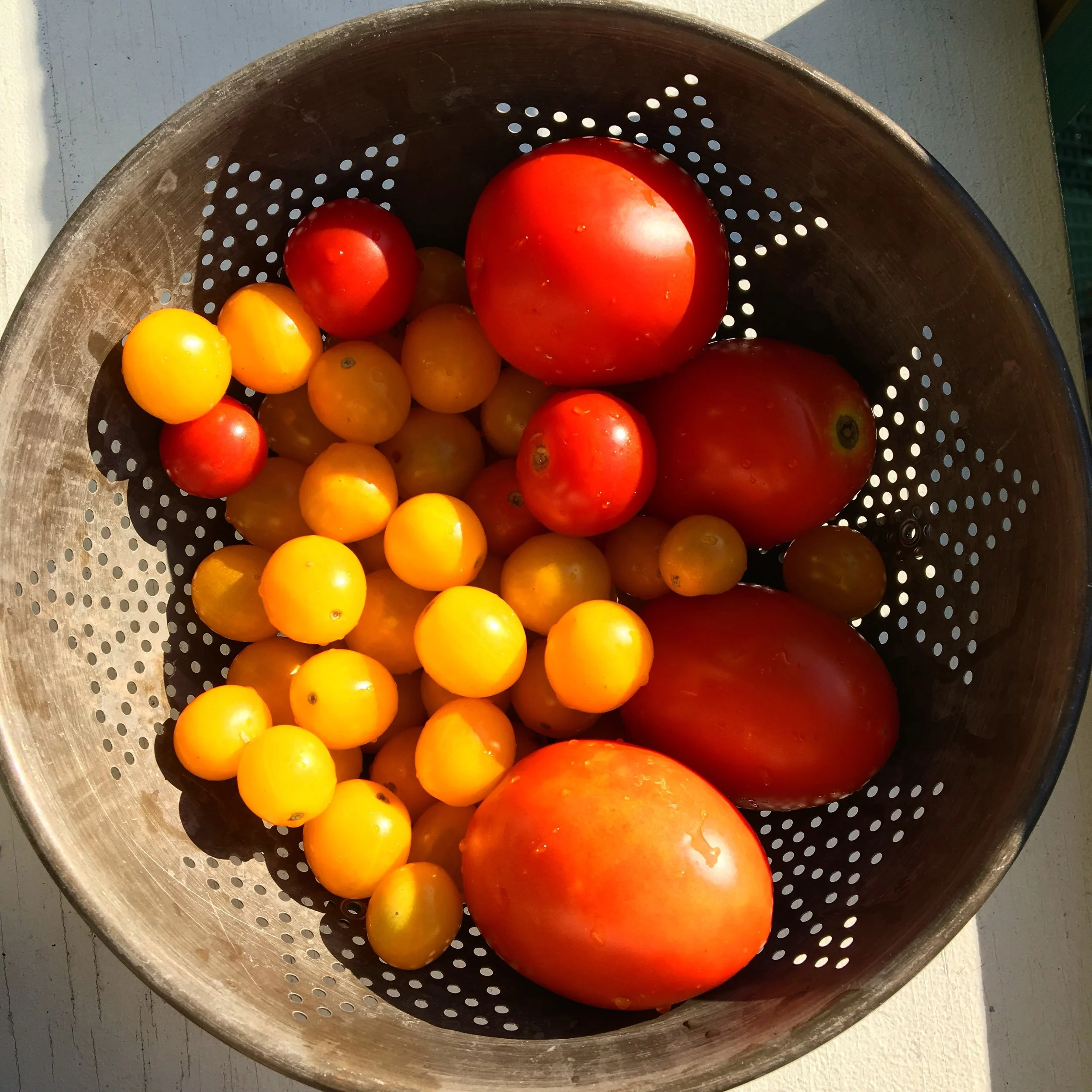 Garlicky Roasted Tomatoes with Miso Butter